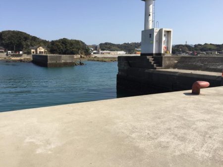 アジ良型（27㎝）を含む20匹