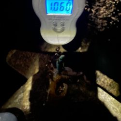 エギングでキロアップアオリイカ