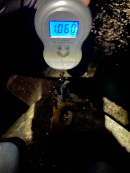 エギングでキロアップアオリイカ