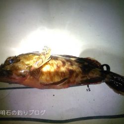 カサゴ釣り