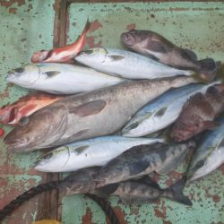 佐渡便五目ジギング&タイラバ