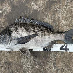 イチノ兄弟、釣果!