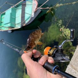 即席引っ掛け！