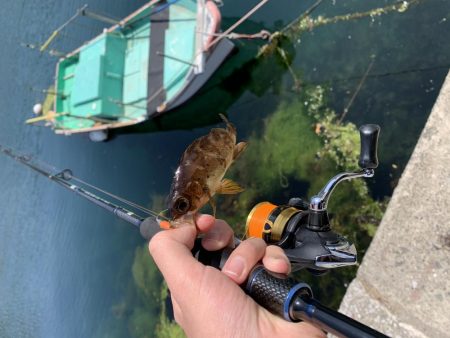 即席引っ掛け！