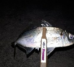 タイミングよく、ツ抜け