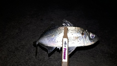 タイミングよく、ツ抜け