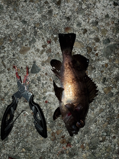 お祭り騒ぎ状態！