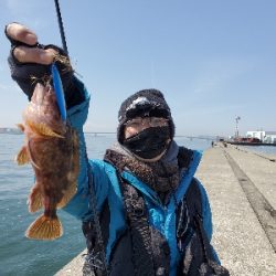 ターゲットだけライトなショアジギング。