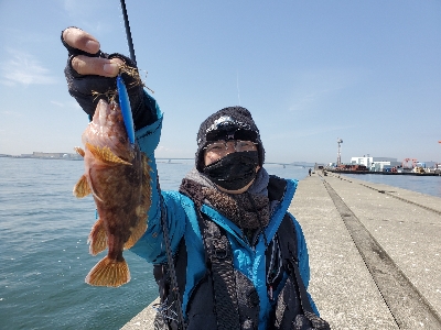 ターゲットだけライトなショアジギング。