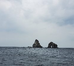 後半は予報通りの暴風。。