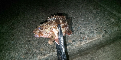 ナイトライトゲーム