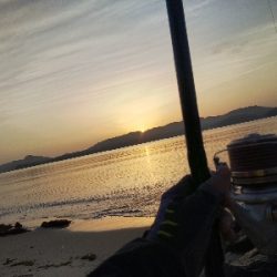 天橋立のキス釣り