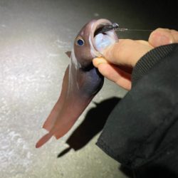 美味しいやつ！