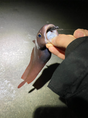 美味しいやつ！