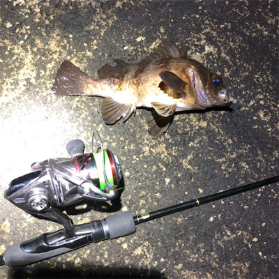 2021 佐渡ヶ島 メバリング