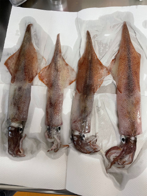 爆風予報の釣行で…