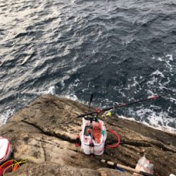 すさみで磯釣り