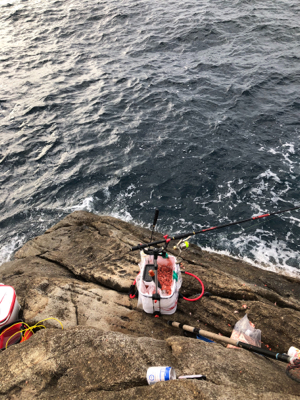 すさみで磯釣り