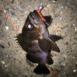 ありがとうございます！