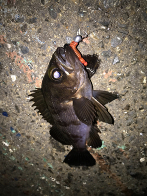 ありがとうございます！