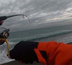 雑賀崎アジングからの煙樹ヶ浜ショアジギング