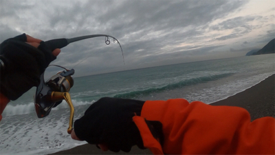 雑賀崎アジングからの煙樹ヶ浜ショアジギング