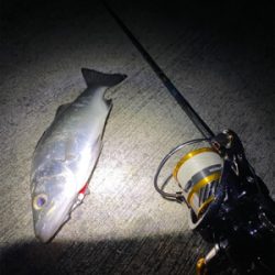 メバリングっ！！