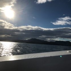 激ハードジギング