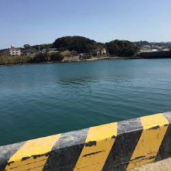 サビキで大きいアジと太刀魚