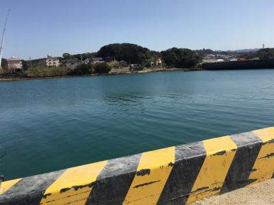 サビキで大きいアジと太刀魚