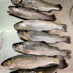 岸和田フィッシングパーク