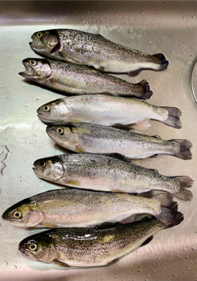 岸和田フィッシングパーク