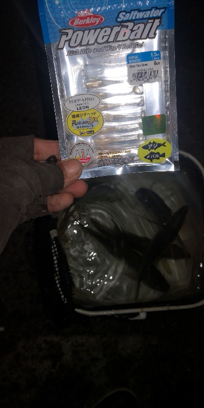 アジング練習 253