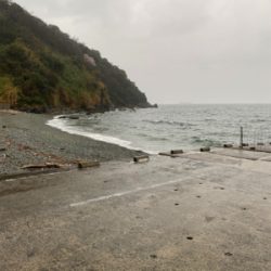 春の嵐で青物爆