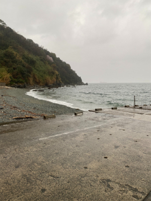 春の嵐で青物爆