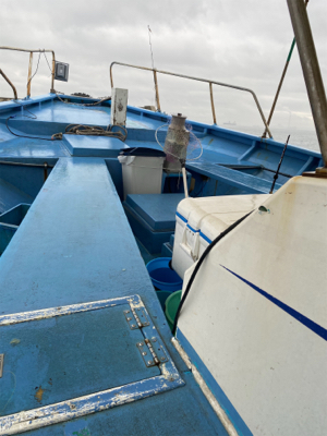 型よし数よし！クーラーパンパン！船アジサイコー！