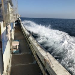 タイラバ あれこれ