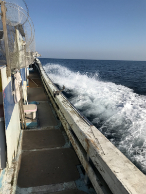 タイラバ あれこれ