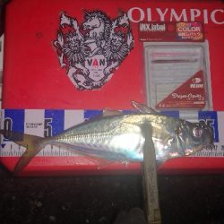 アジング練習　259　