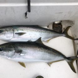 中深海と鯛ラバ