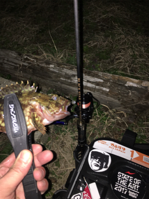 メバルを求めて