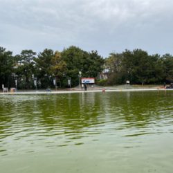 雨の服部緑地は釣りやすい。