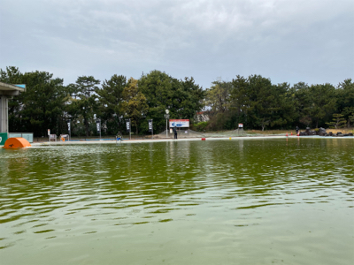 雨の服部緑地は釣りやすい。