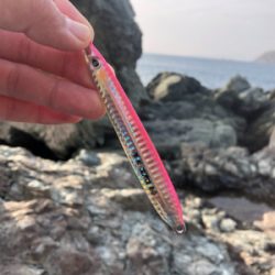 朝マヅメ2時間ショアジギ