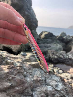 朝マヅメ2時間ショアジギ