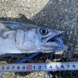 ４投で４ヒット！なのに魚は２匹だけ？（笑）
