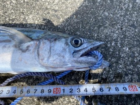 ４投で４ヒット！なのに魚は２匹だけ？（笑）