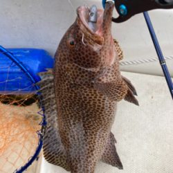 ボートワーミング