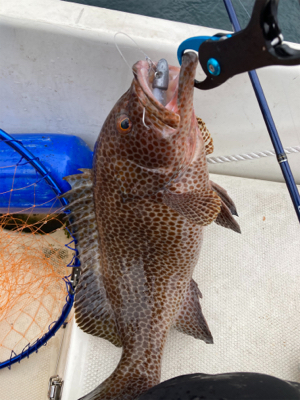 ボートワーミング