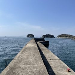 沖堤防で通し釣り